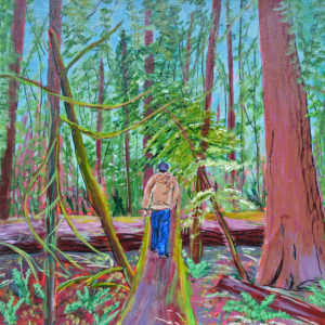 Cathedral Grove
