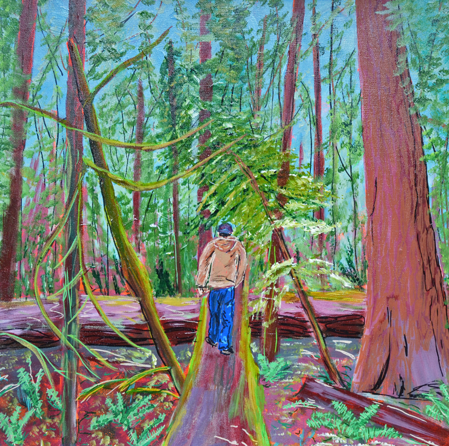 Cathedral Grove