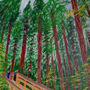 Rain Forest Hike