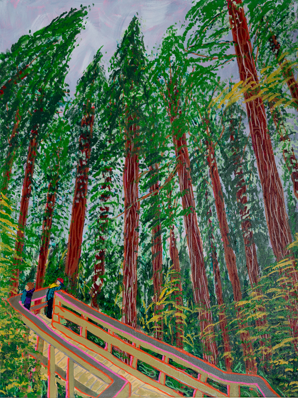 Rain Forest Hike